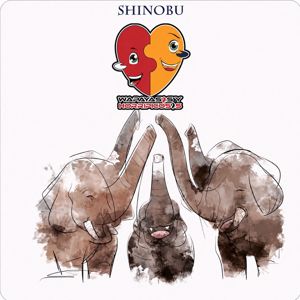 Wapayasos y Horripicosos: Shinobu