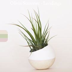 Olivia Summer: Landings