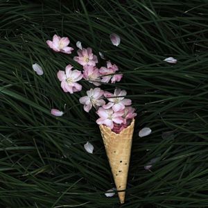 Saintmusic: Quietly Disappointed