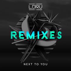 LDRU feat. Savoi: Next To You (Nine Lives Remix)