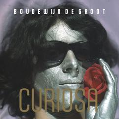 Boudewijn de Groot: Moonstruck