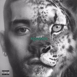 ZAYN: KONNAKOL