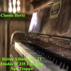 Classic Hertz: 12 Etudes W 235 I Allegro Non Troppo