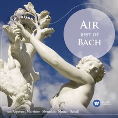 Yehudi Menuhin, Bath Festival Orchestra: Bach, JS: Violin Concerto No. 1 in A Minor, BWV 1041: I. —