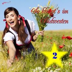Frohsinn Sulgen & Siegfried Kern: Erlaube mir feines Mädchen (Remastered)