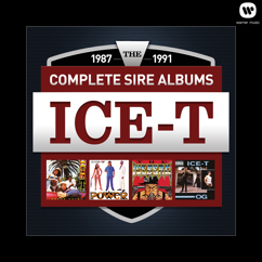 Ice T: Soul on Ice