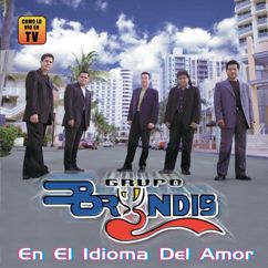Grupo Bryndis: Yo Te Amaré (Album Version)