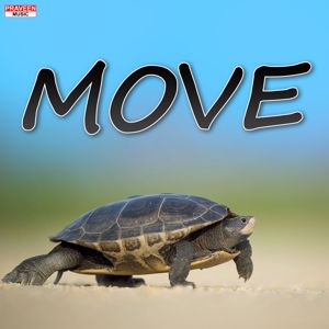 Praveen Kadapatti: MOVE