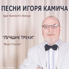 ВИА Камичи: Песни Игоря Камича "Лучшие треки"