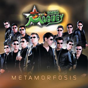 Banda Maguey: Metamorfosis