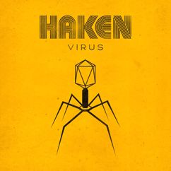 Haken: The Strain