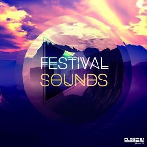 Various Artists: Festival Sounds