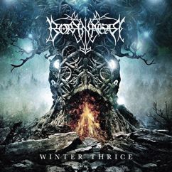 Borknagar: Winter Thrice