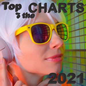 Various Artists: Top of the Charts 2021