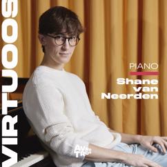 Shane van Neerden: Préludes, Book II, L. 123: V. Bruyères
