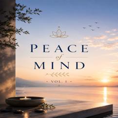 Prem Das: Peace of Mind, Vol. 1