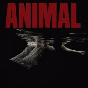 Dandelion: Animal