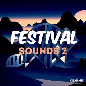 Various Artists: Festival Sounds 2