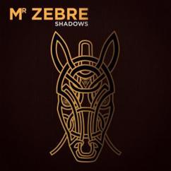 Mr Zebre: Searching Dub