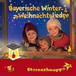 Sternschnuppe: Staad-Lustig einigspuit (Weihnachtliches Instrumental mit Witz)