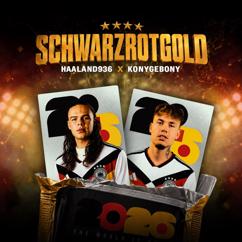 Haaland936: SchwarzRotGold