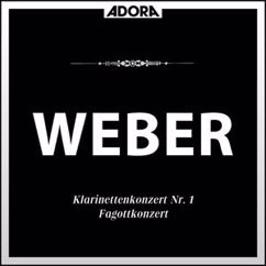 Württembergisches Kammerorchester, David Glazer, Jörg Faerber: Klarinettenkonzert No. 1 in F Minor, Op. 73: II. Adagio ma non troppo