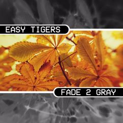 Easy Tigers: Gray (Original Mix)