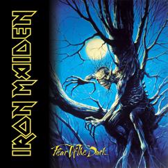 Iron Maiden: Wasting Love (2015 Remaster)