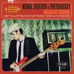 Marko Haavisto & Poutahaukat: Työn hedelmät