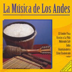 Various Artists: Fiesta de Los Andes