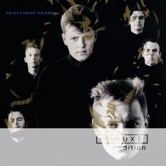 MADNESS: Mad Not Mad (Remastered 1999) (Mad Not Mad)