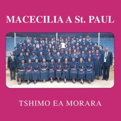 Macecilia A St Paul: Tshimo Ea Morara