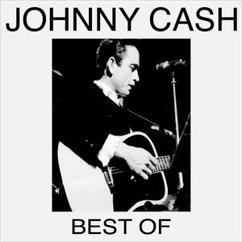 Johnny Cash: The Caretaker