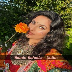 Ramin Bahador: Gullm