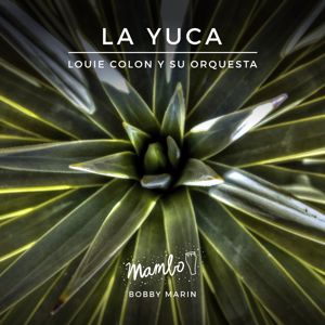 Louie Colon y Su Orquesta: La Yuca