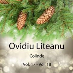 Ovidiu Liteanu: Seara sfântă
