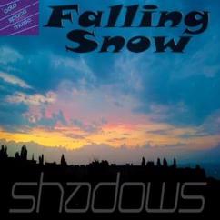 Falling Snow: Back to Space