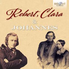 Domenico Codispoti: Variationen über ein Thema von Robert Schumann, Op. 20