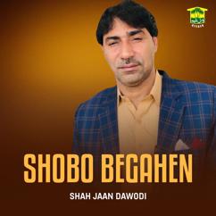 Shah Jaan Dawodi: Shobo Begahen