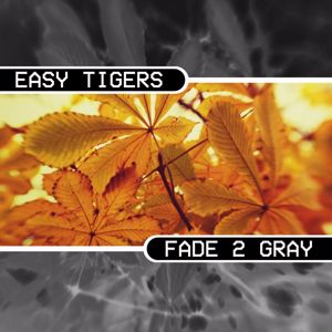 Easy Tigers: Fade 2 Gray