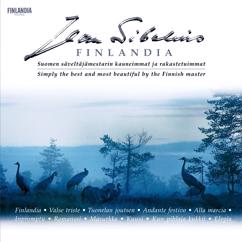 The Helsinki Strings: Sibelius: Andante festivo
