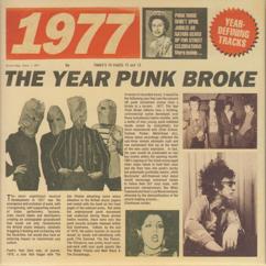 Various Artists: 1977: The Year Punk Broke