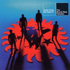 The Brand New Heavies: Spend Some Time (Radio Version)