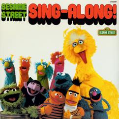 Big Bird, Ernie, Oscar The Grouch: Rubber Duckie / I Love Trash / Everybody Makes Mistakes