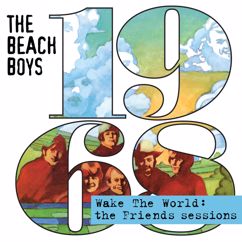 The Beach Boys: New Song (Transcendental Meditation) (Back Track With Partial Vocals)