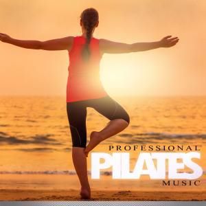 Various Artists: Professional Pilates Music
