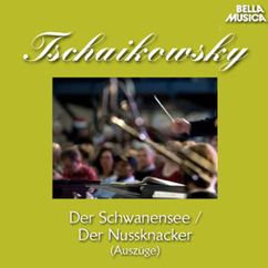 Bamberger Symphoniker, Franz Berger, Janos Kulka: Schwanensee für Orchester und Violine, Op. 20 A: No. 4, Szene