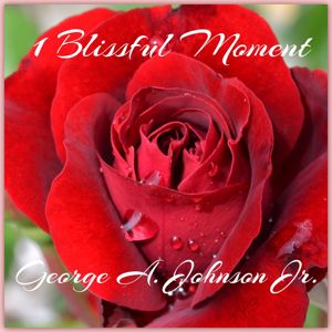George A. Johnson Jr.: 1 Blissful Moment