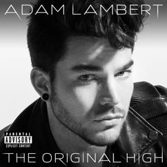 Adam Lambert: The Light