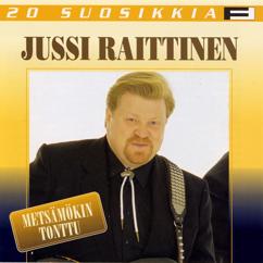 Jussi Raittinen: Tukholma - Detroit City